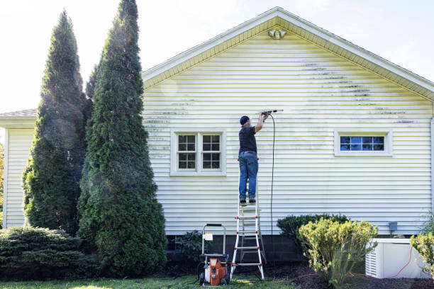 Best Window and Screen Pressure Cleaning in Shady Shores, TX